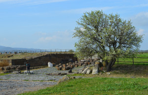 Vulci
